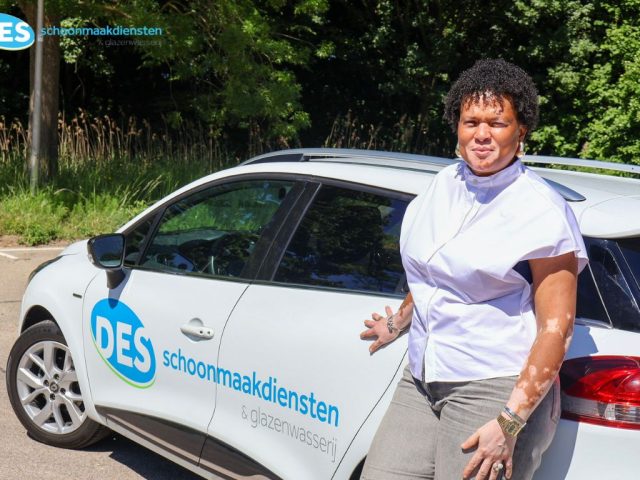 Dag van de schoonmaak