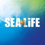 sealife scheveningen